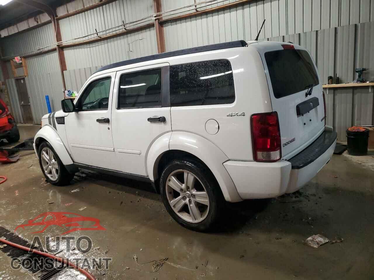 DODGE NITRO 2011 - 1D4PU4GK3BW598718