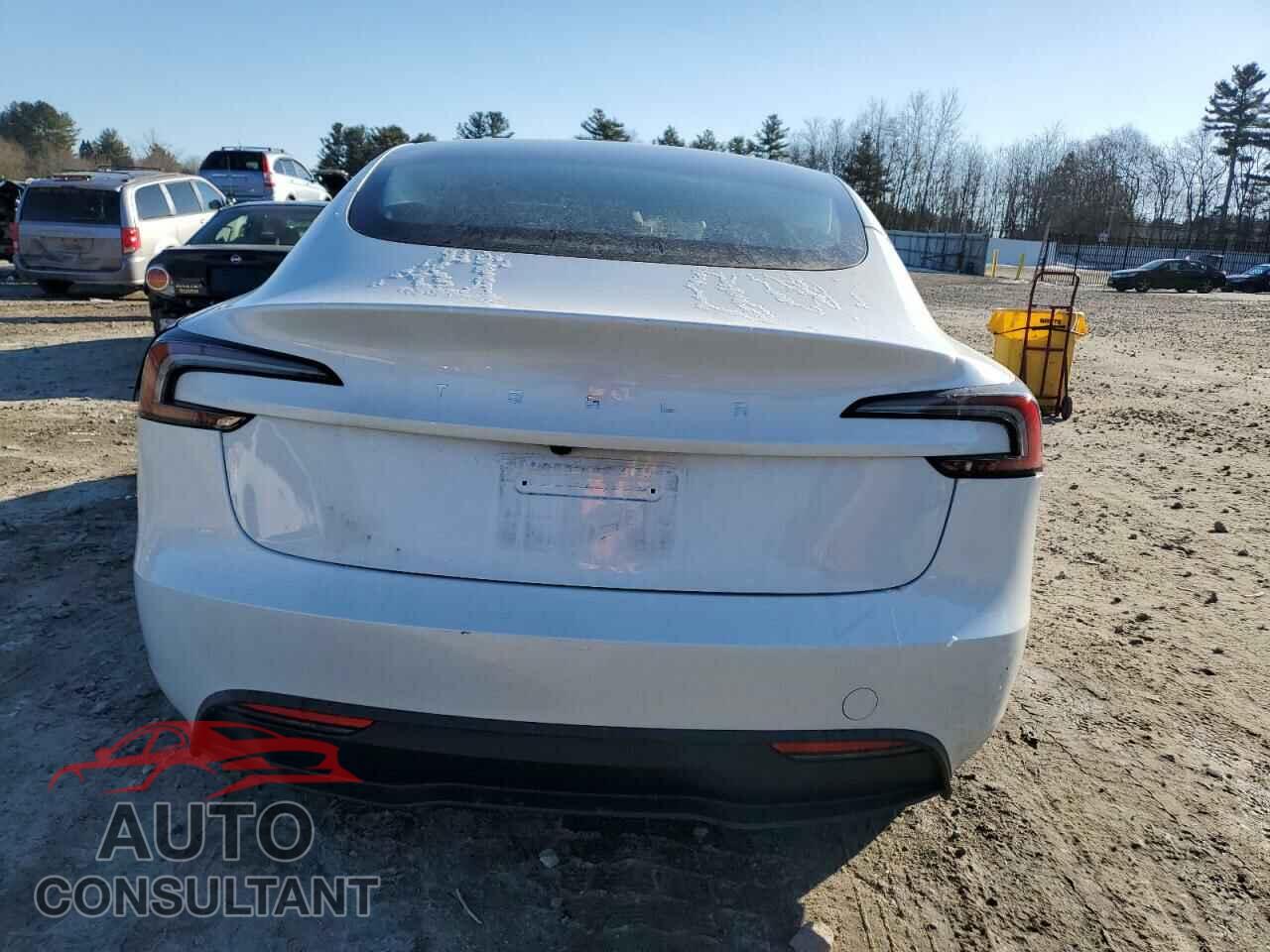TESLA MODEL 3 2024 - 5YJ3E1EA7RF731299
