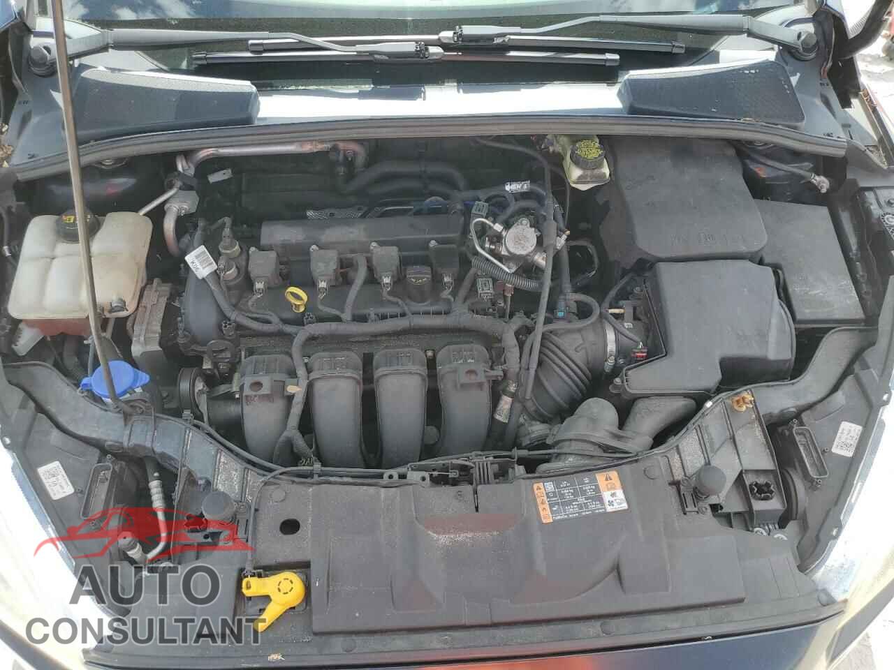 FORD FOCUS 2017 - 1FADP3E29HL231942