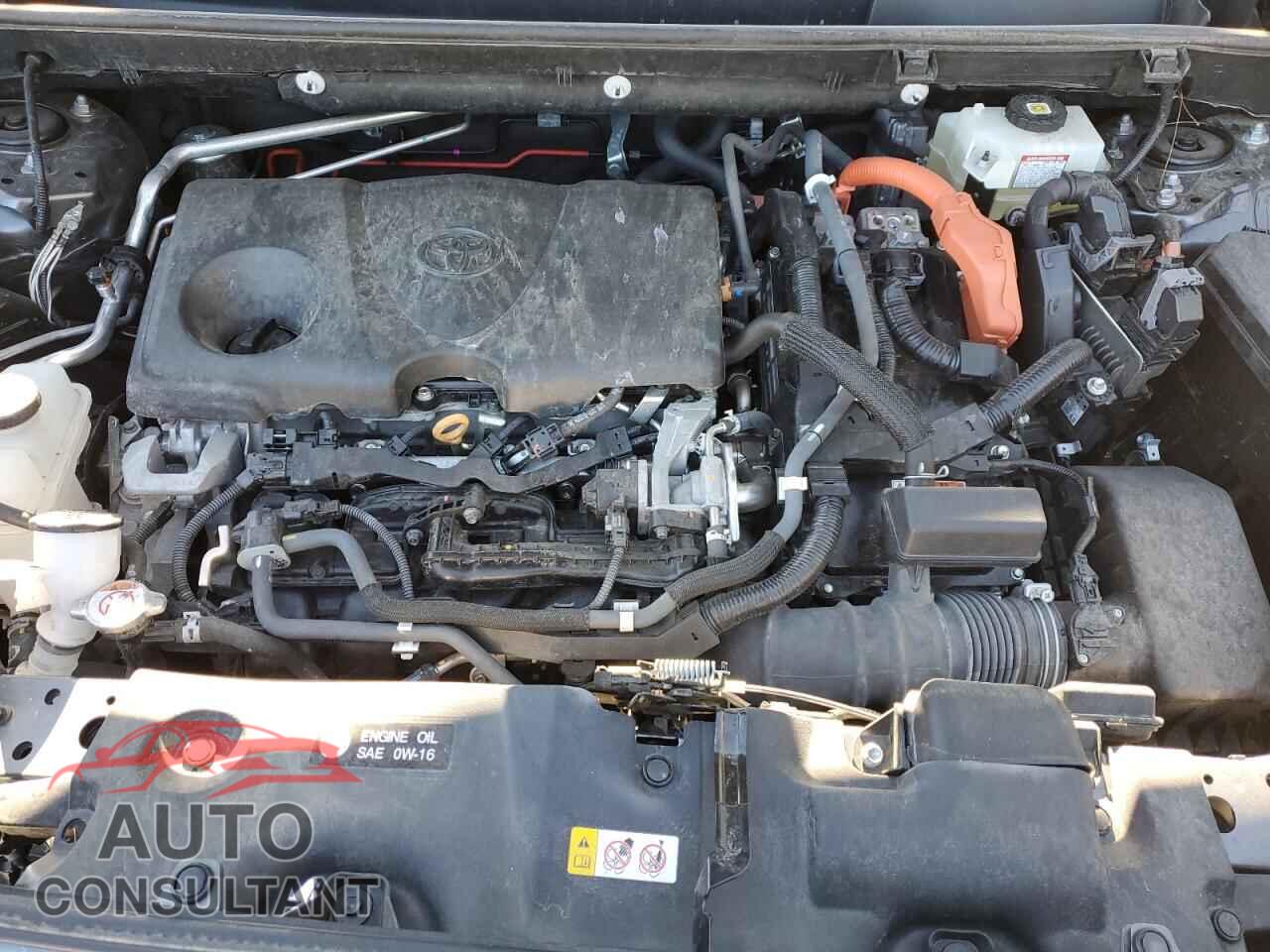 TOYOTA RAV4 2021 - 4T3B6RFV2MU044498