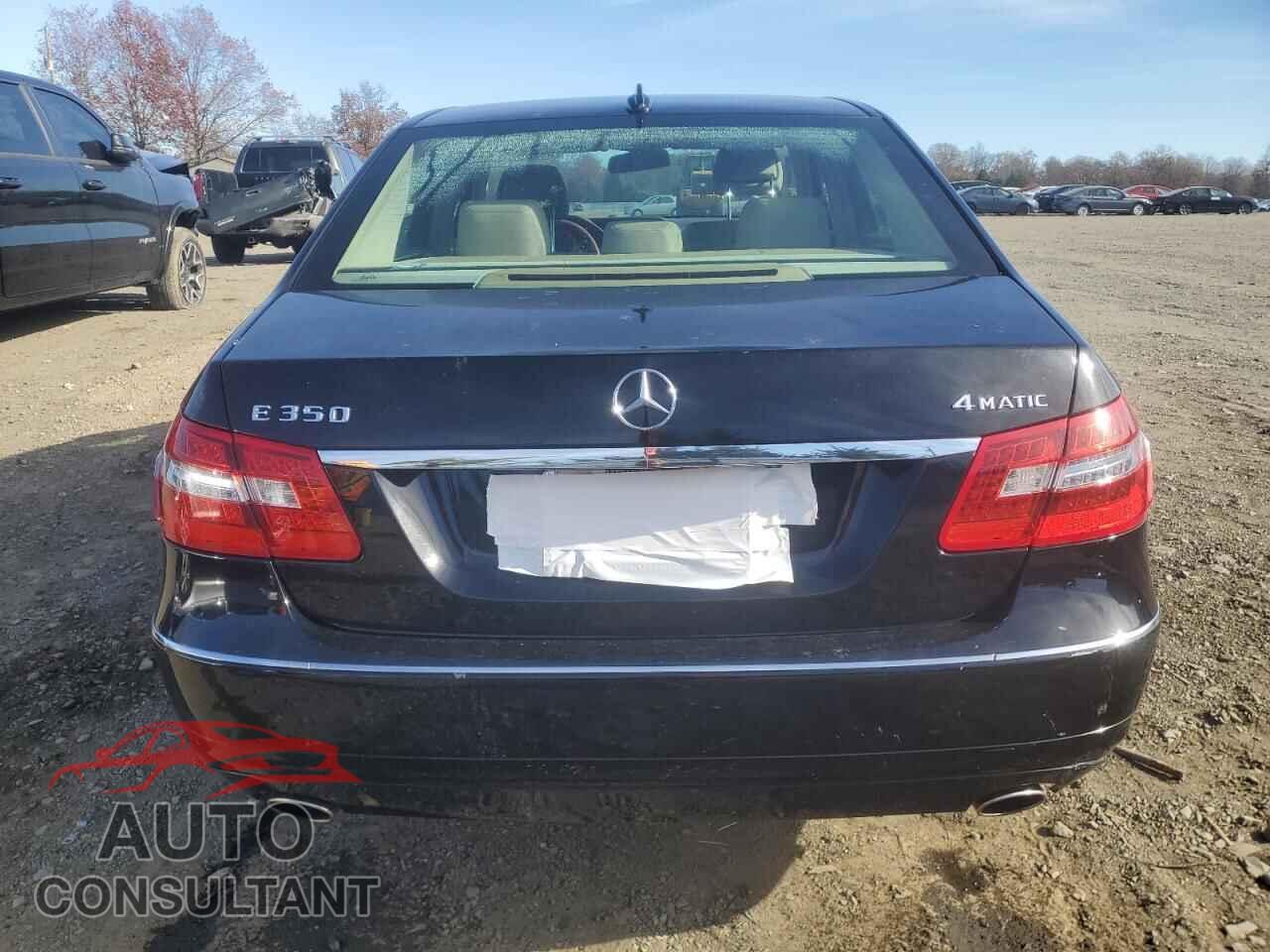 MERCEDES-BENZ E-CLASS 2010 - WDDHF8HB0AA123370