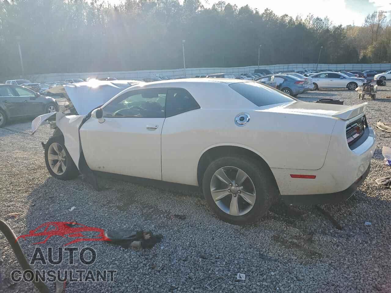 DODGE CHALLENGER 2019 - 2C3CDZAG3KH711955