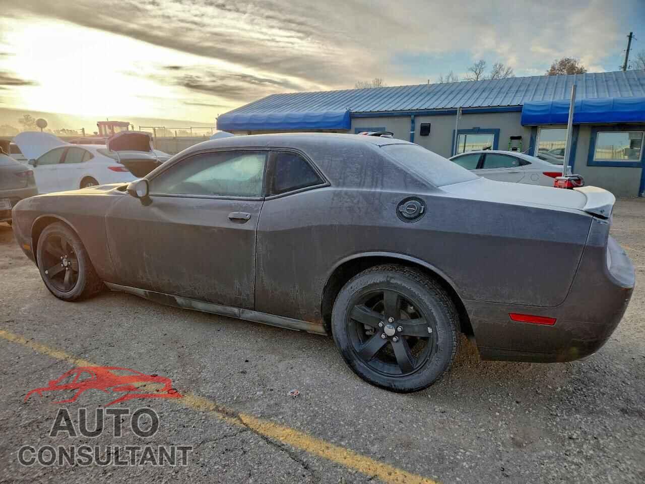 DODGE CHALLENGER 2013 - 2C3CDYAG3DH553775