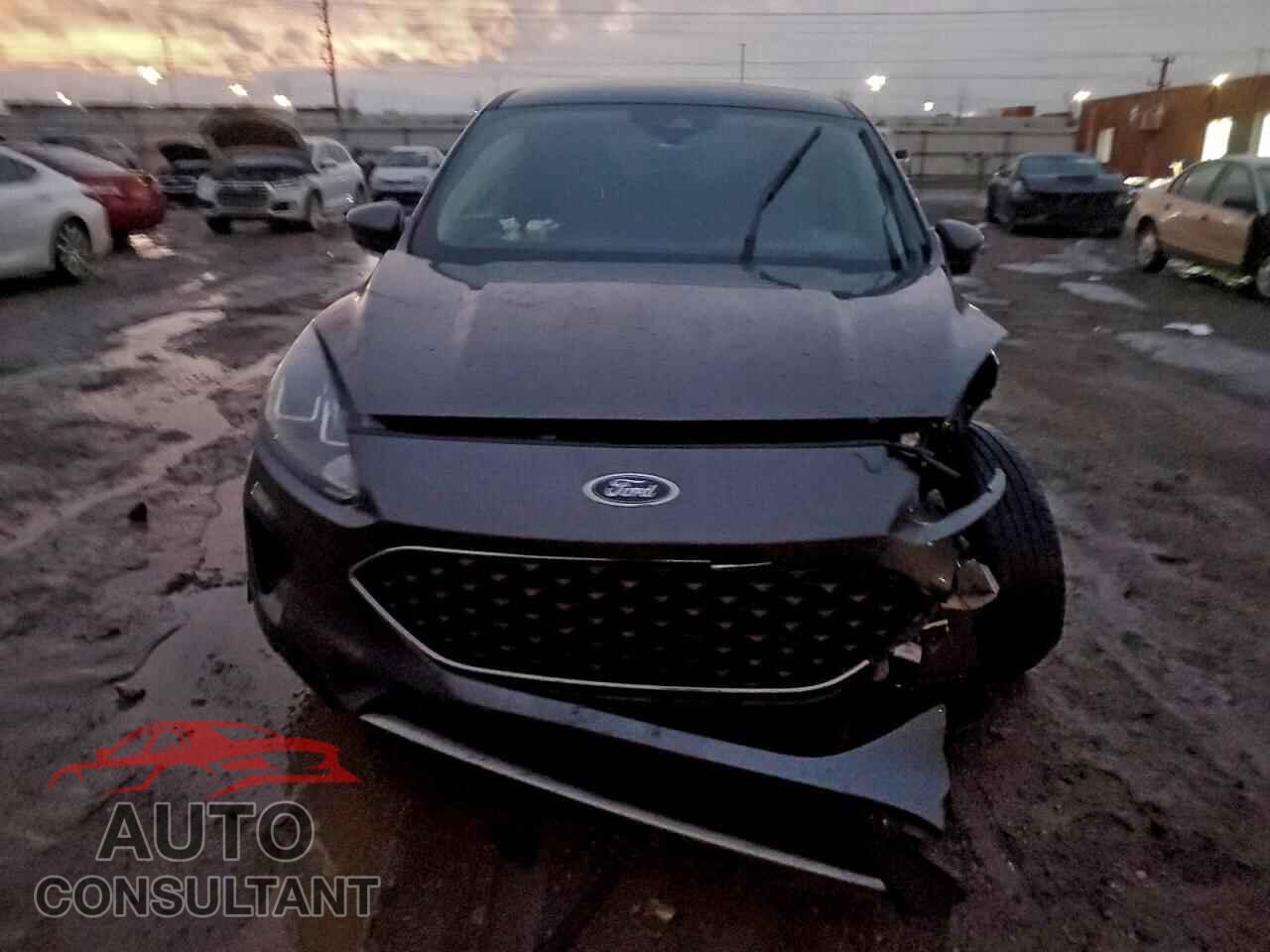 FORD ESCAPE 2020 - 1FMCU0G60LUA48845