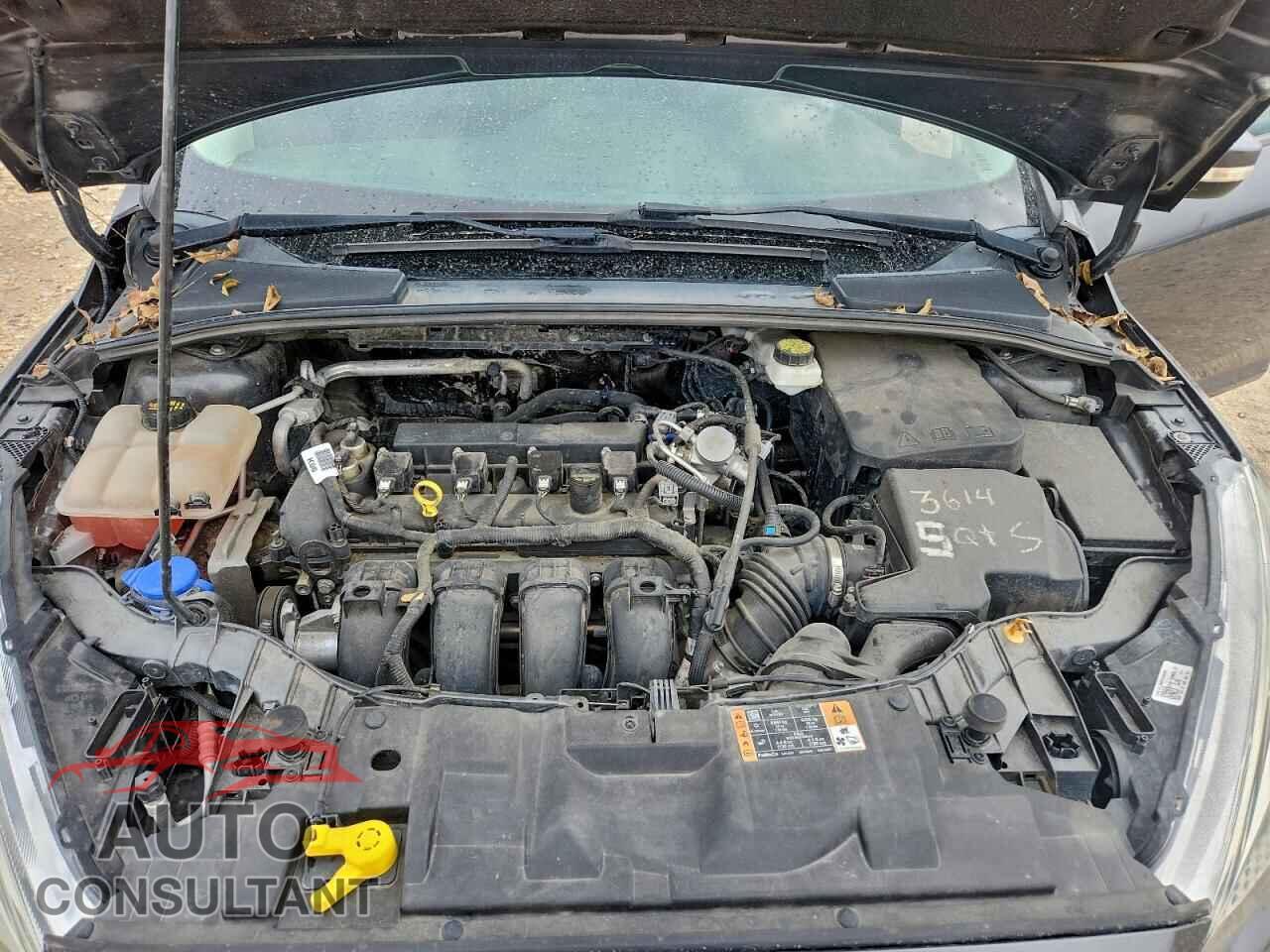 FORD FOCUS 2017 - 1FADP3F27HL328670