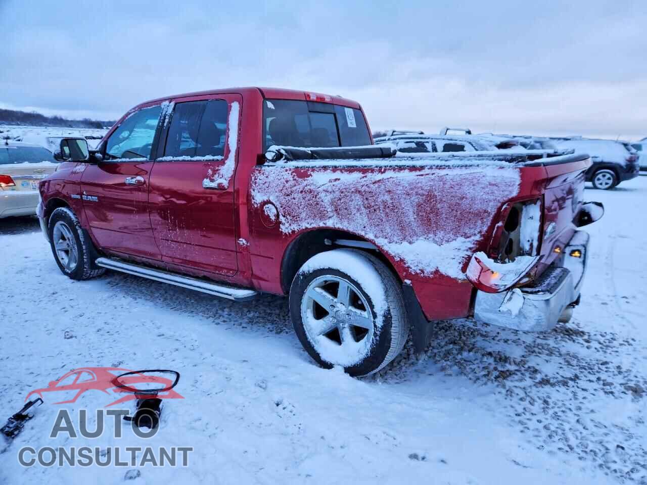 DODGE All Models 2010 - 1D7RV1CT2AS100715