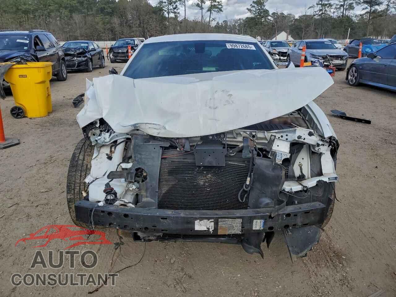 DODGE CHARGER 2019 - 2C3CDXAT2KH538558