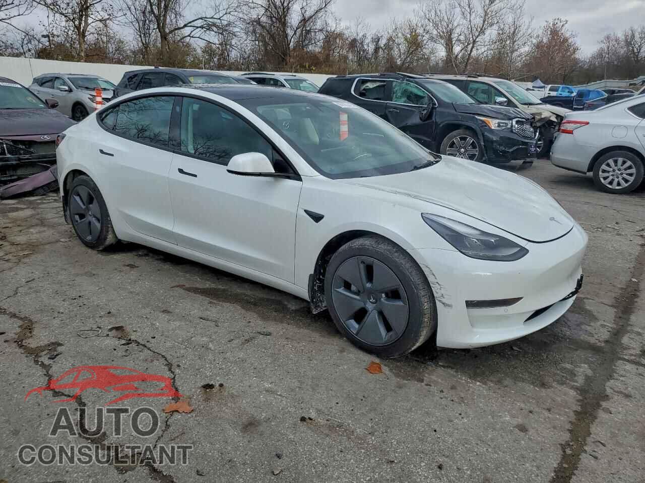 TESLA MODEL 3 2021 - 5YJ3E1EA4MF098219