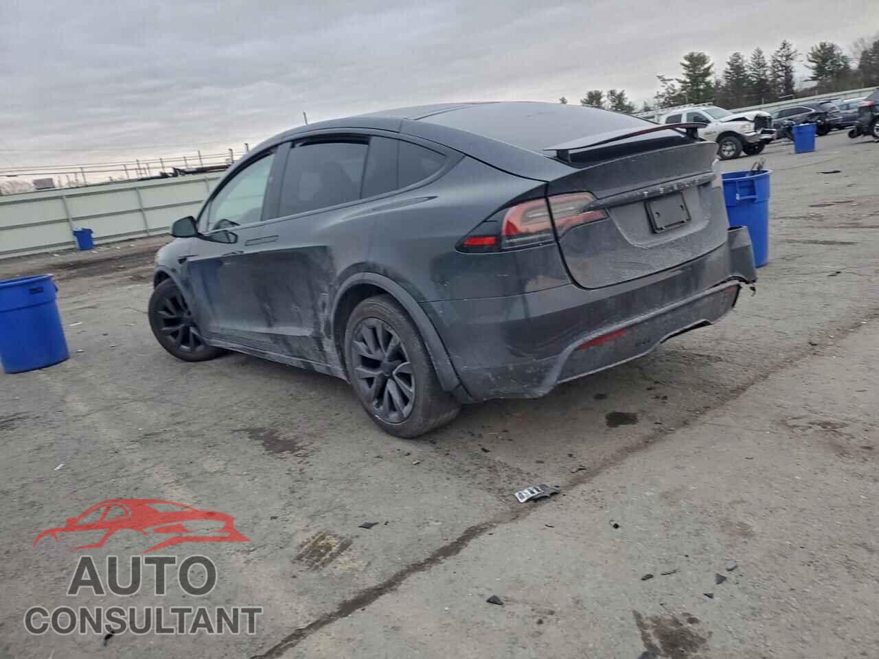 TESLA MODEL X 2024 - 7SAXCDE55RF445045