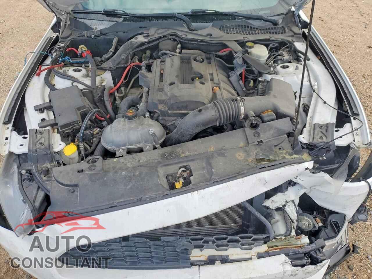 FORD ALL Models 2016 - 1FATP8UH0G5226663