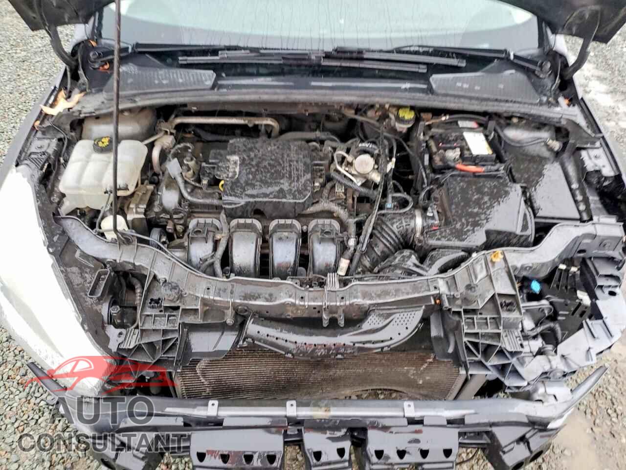 FORD FOCUS 2016 - 1FADP3E21GL362250