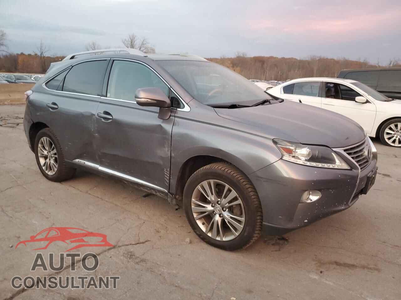 LEXUS RX450 2014 - JTJBC1BA4E2067463