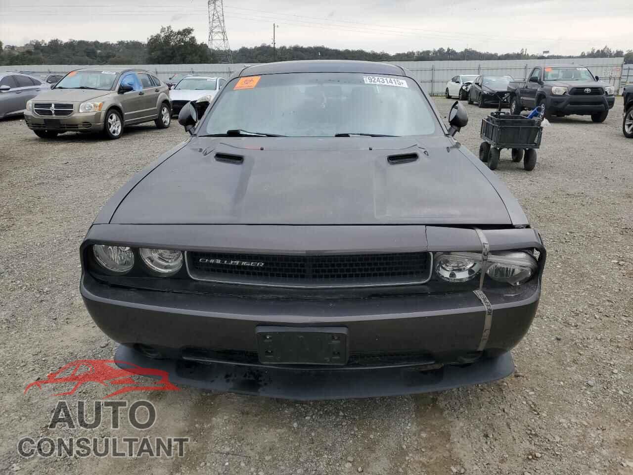 DODGE CHALLENGER 2013 - 2C3CDYAG9DH634487