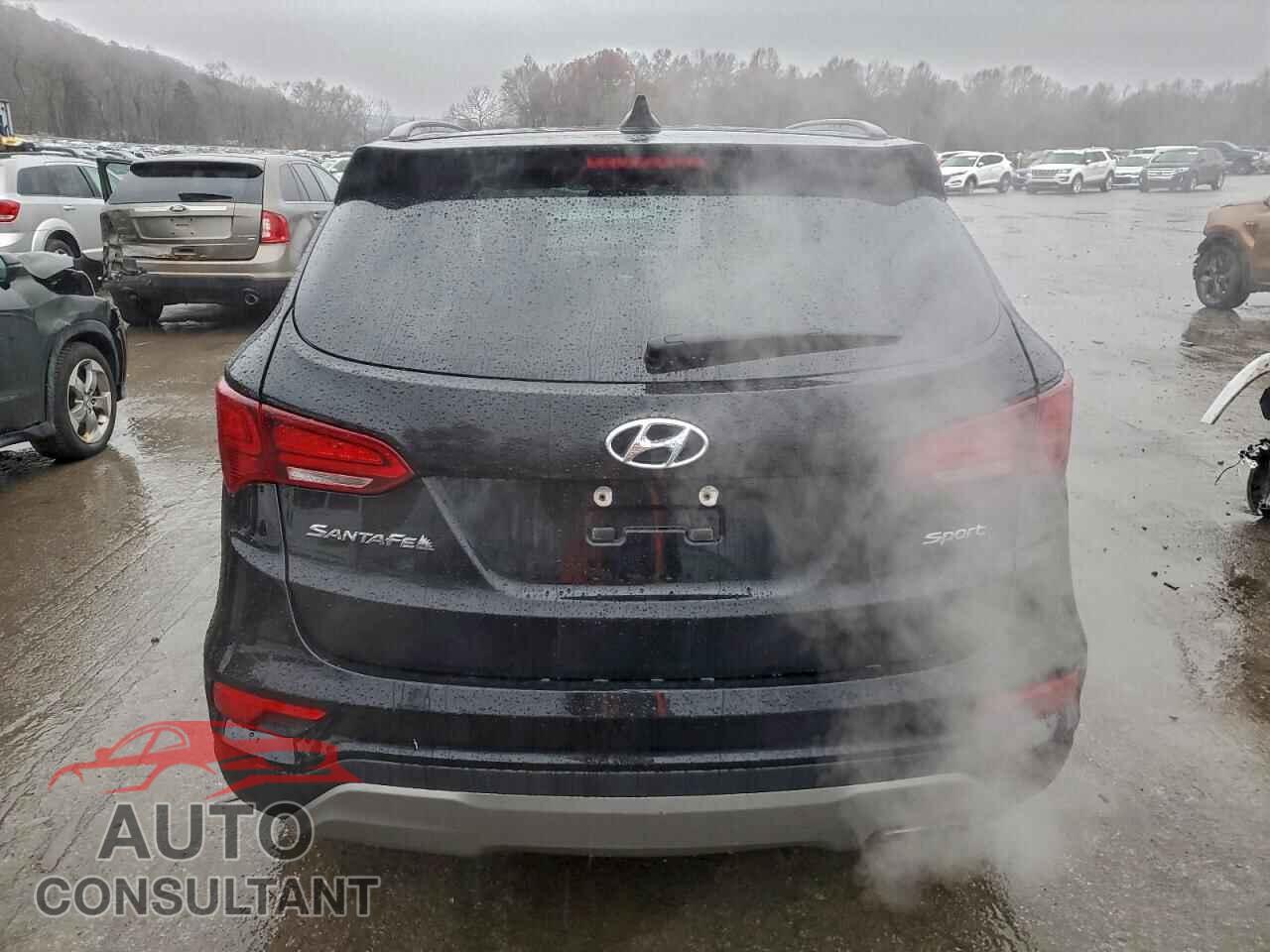 HYUNDAI SANTA FE 2017 - 5NMZU3LB2HH045446