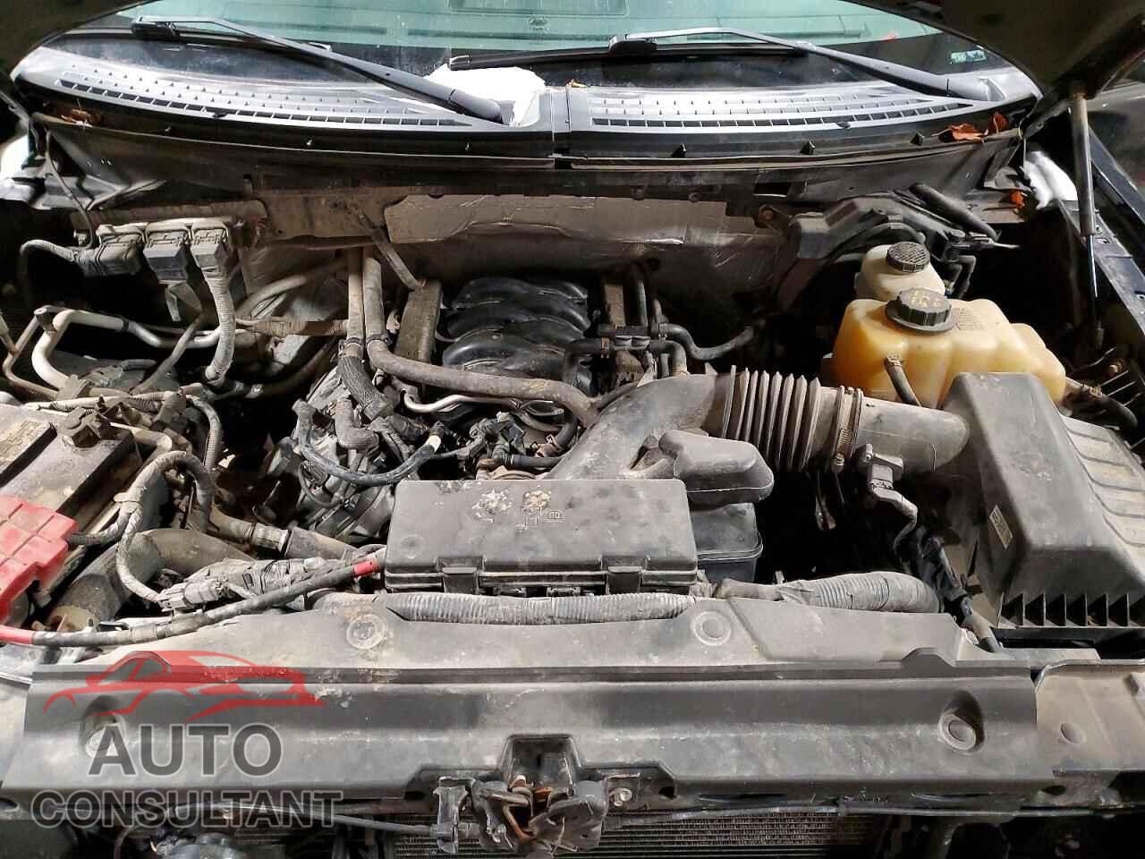 FORD F-150 2013 - 1FTFW1EF3DFD12053