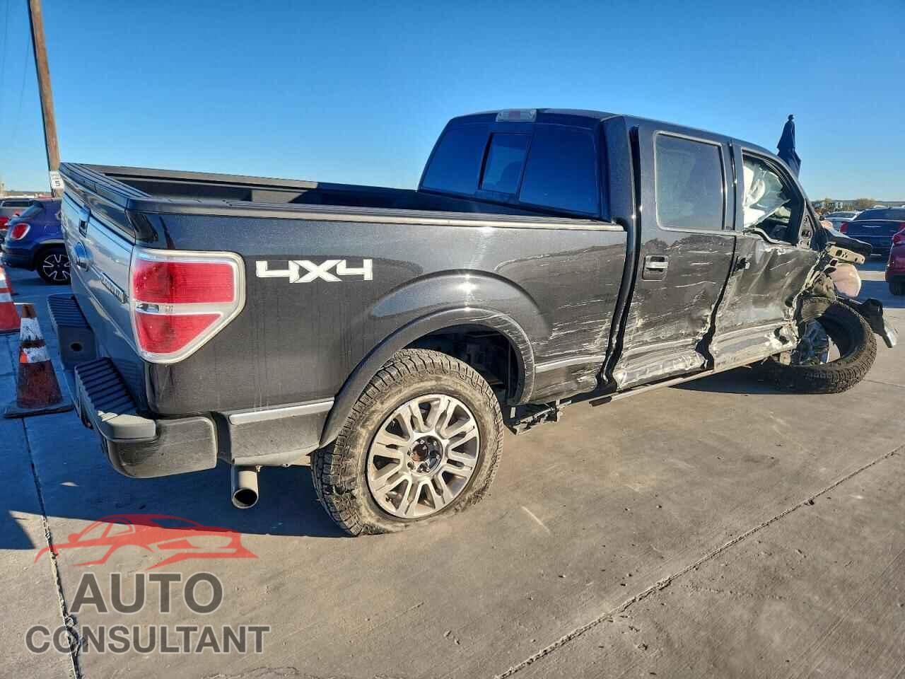 FORD F-150 2011 - 1FTFW1ET7BFA00207