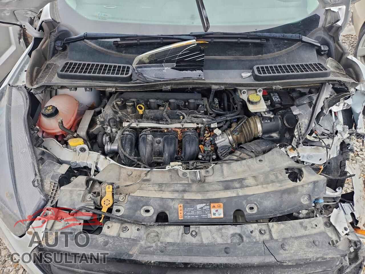 FORD ESCAPE 2019 - 1FMCU0F77KUC04663