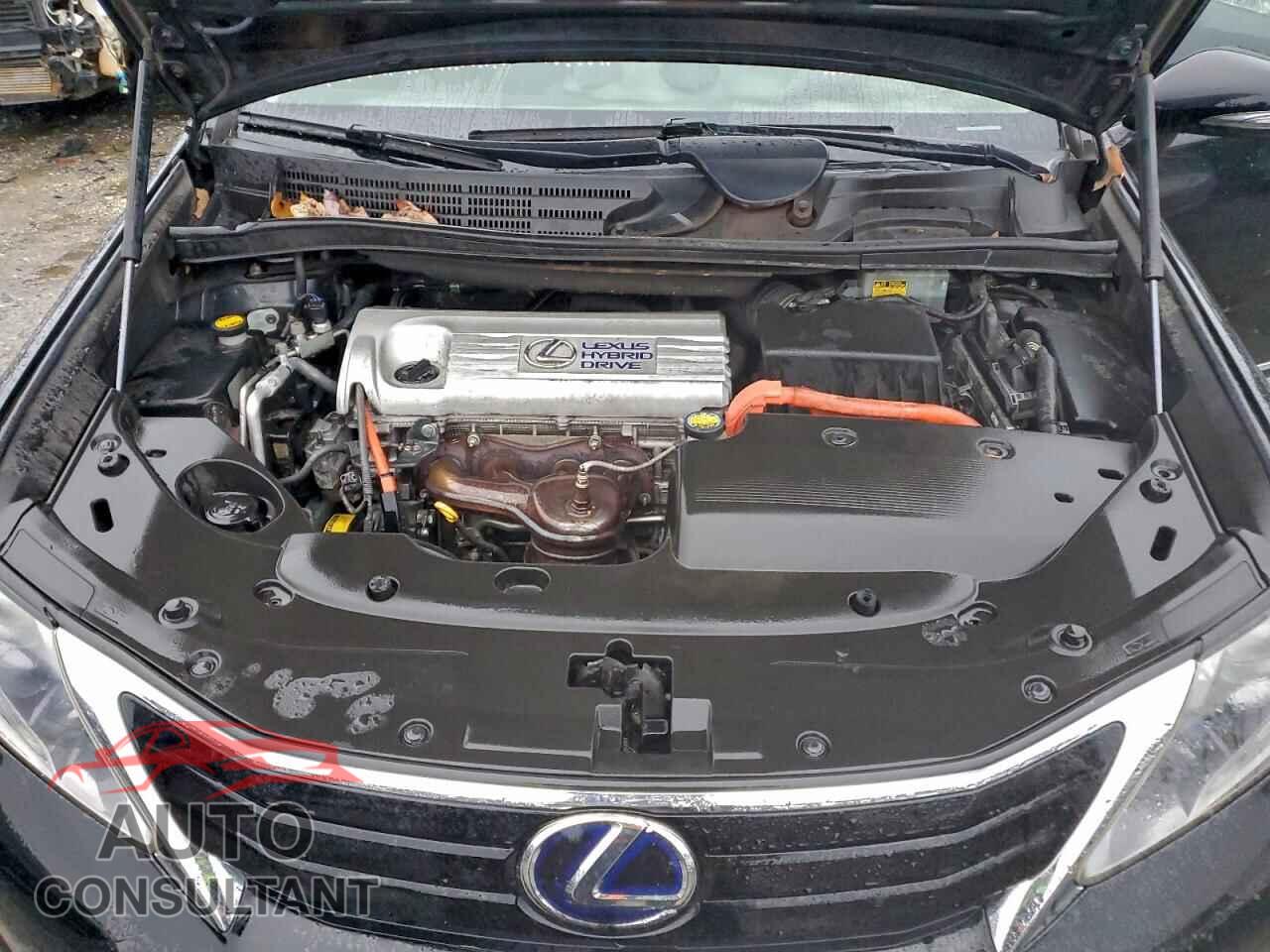 LEXUS HS 2010 - JTHBB1BA8A2013257