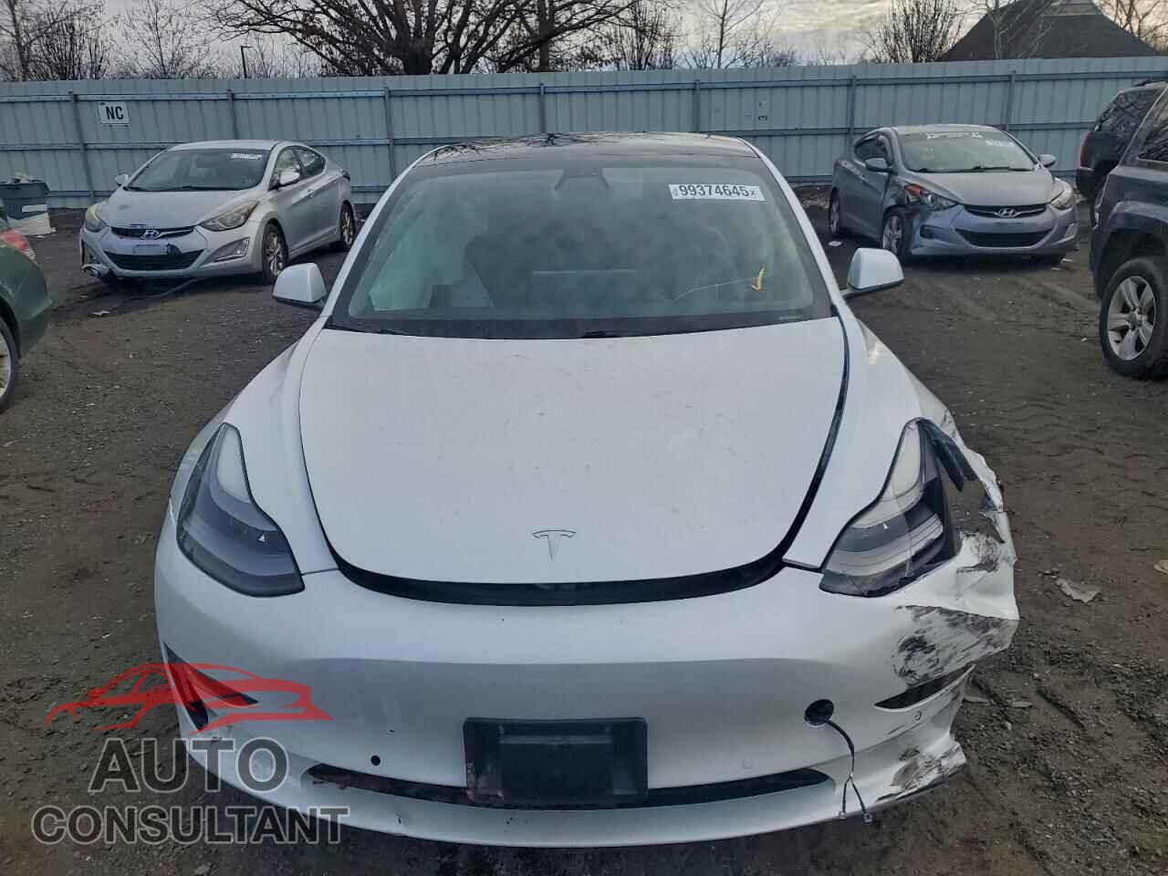 TESLA MODEL 3 2021 - 5YJ3E1EB2MF059489