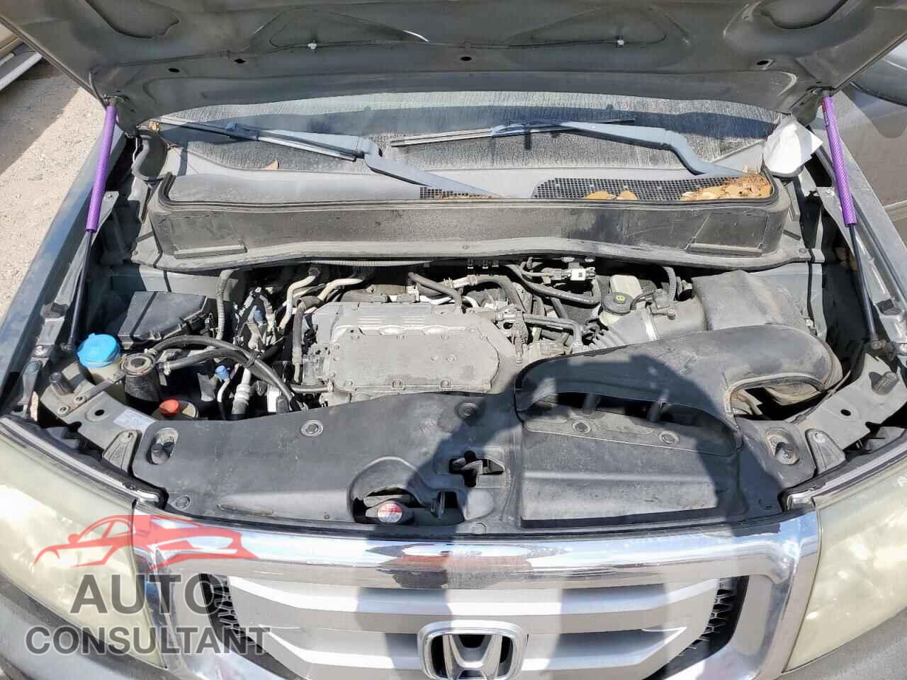 HONDA PILOT 2009 - 5FNYF38539B019241