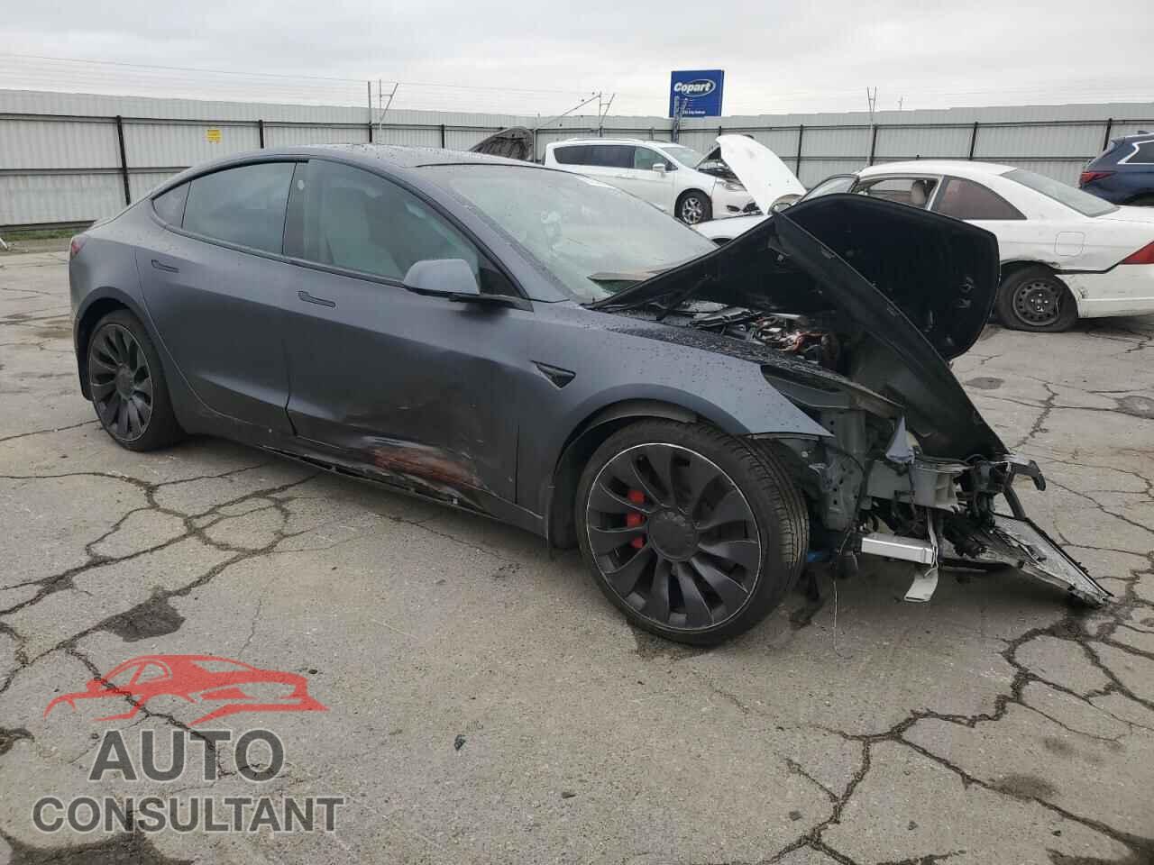 TESLA MODEL 3 2021 - 5YJ3E1EC0MF856381