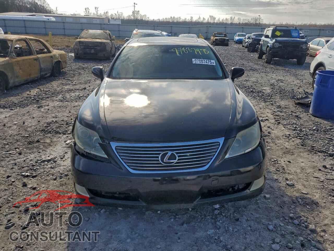 LEXUS LS460 2009 - JTHDL46F995000623