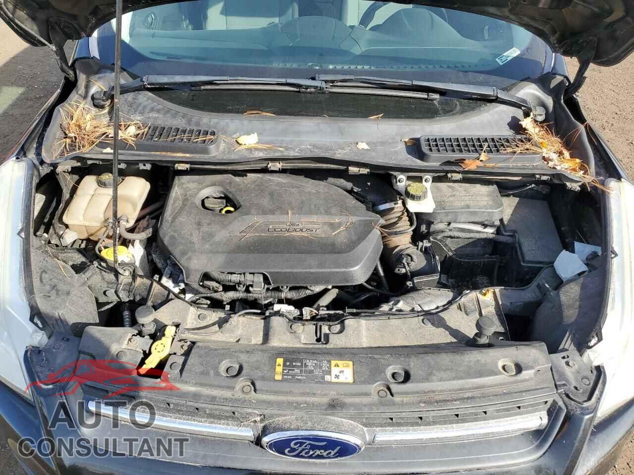 FORD ESCAPE 2014 - 1FMCU9GX2EUD69656