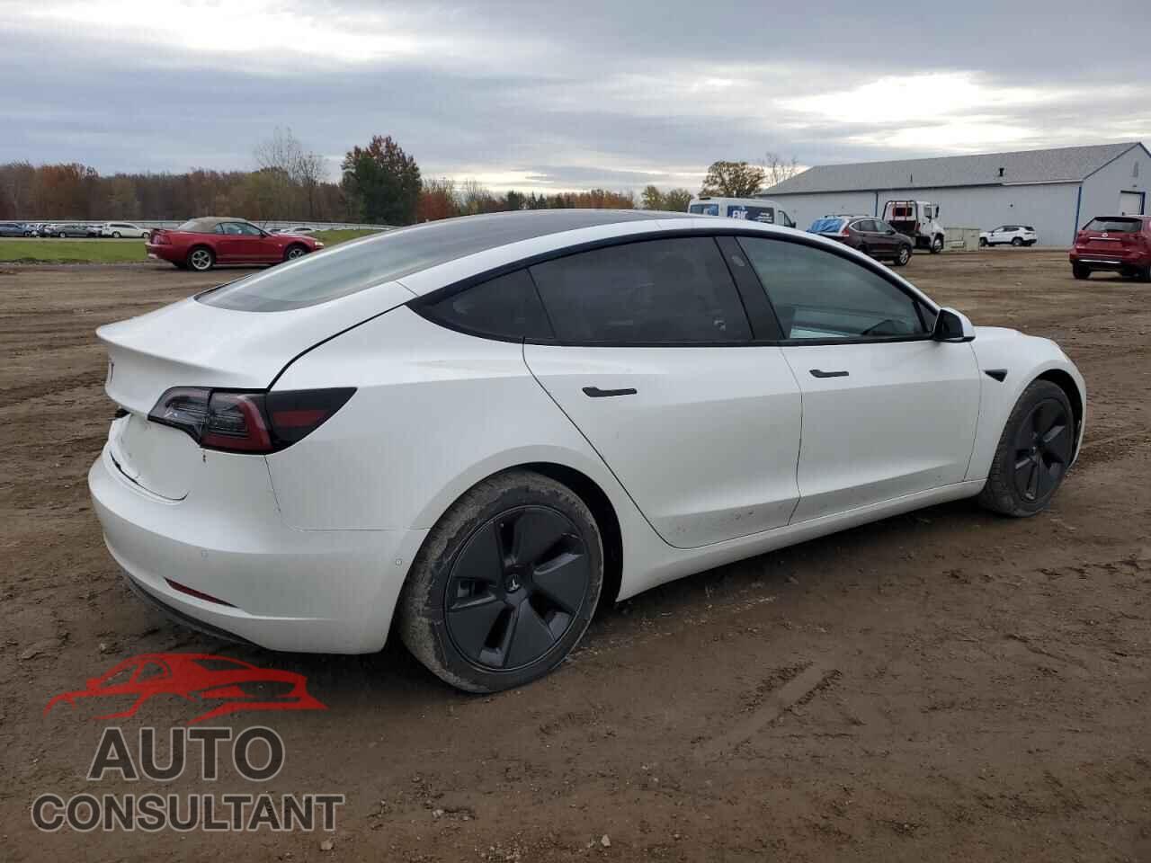 TESLA MODEL 3 2021 - 5YJ3E1EA5MF978295