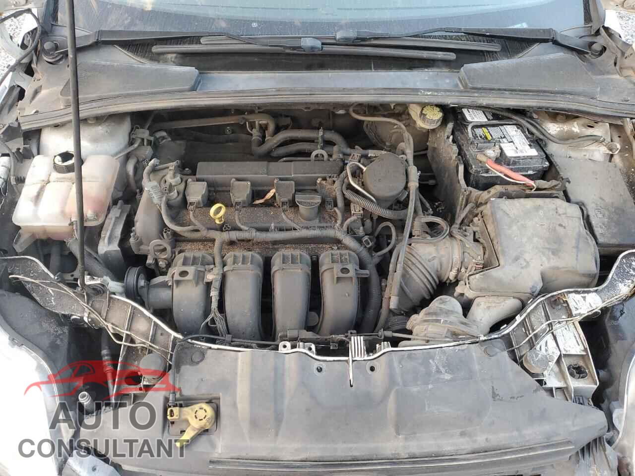 FORD FOCUS 2012 - 1FAHP3F2XCL380868