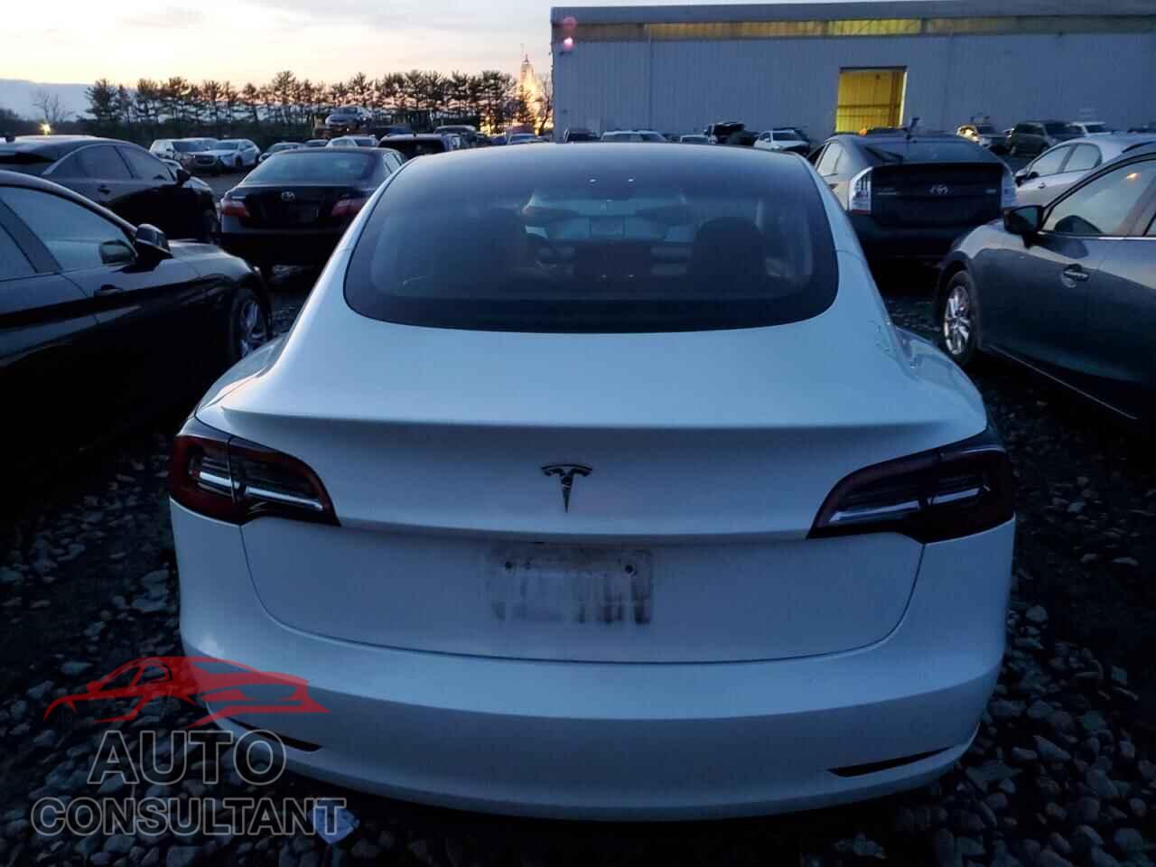 TESLA MODEL 3 2023 - 5YJ3E1EA3PF585657
