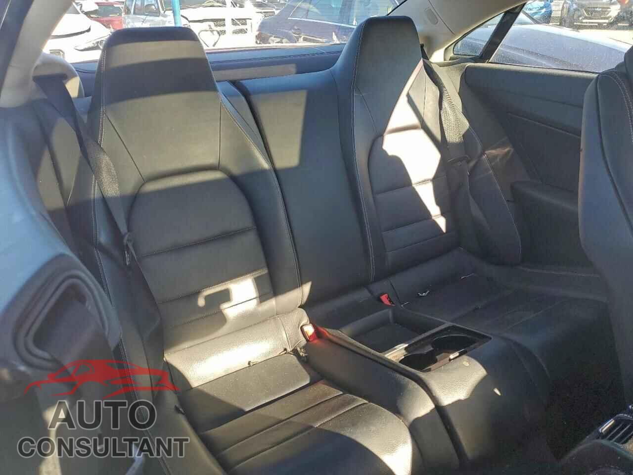 MERCEDES-BENZ E-CLASS 2010 - WDDKJ7CB4AF021028