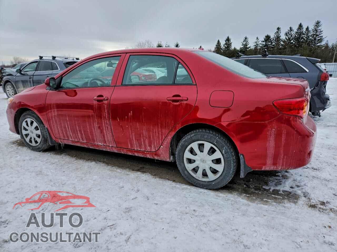 TOYOTA COROLLA 2009 - 2T1BU40E29C089525