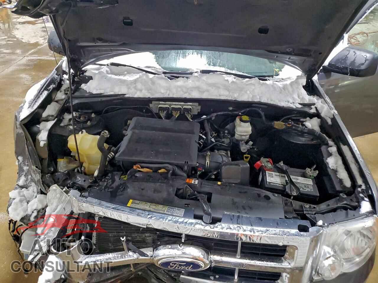 FORD ESCAPE 2011 - 1FMCU0DG3BKA08945