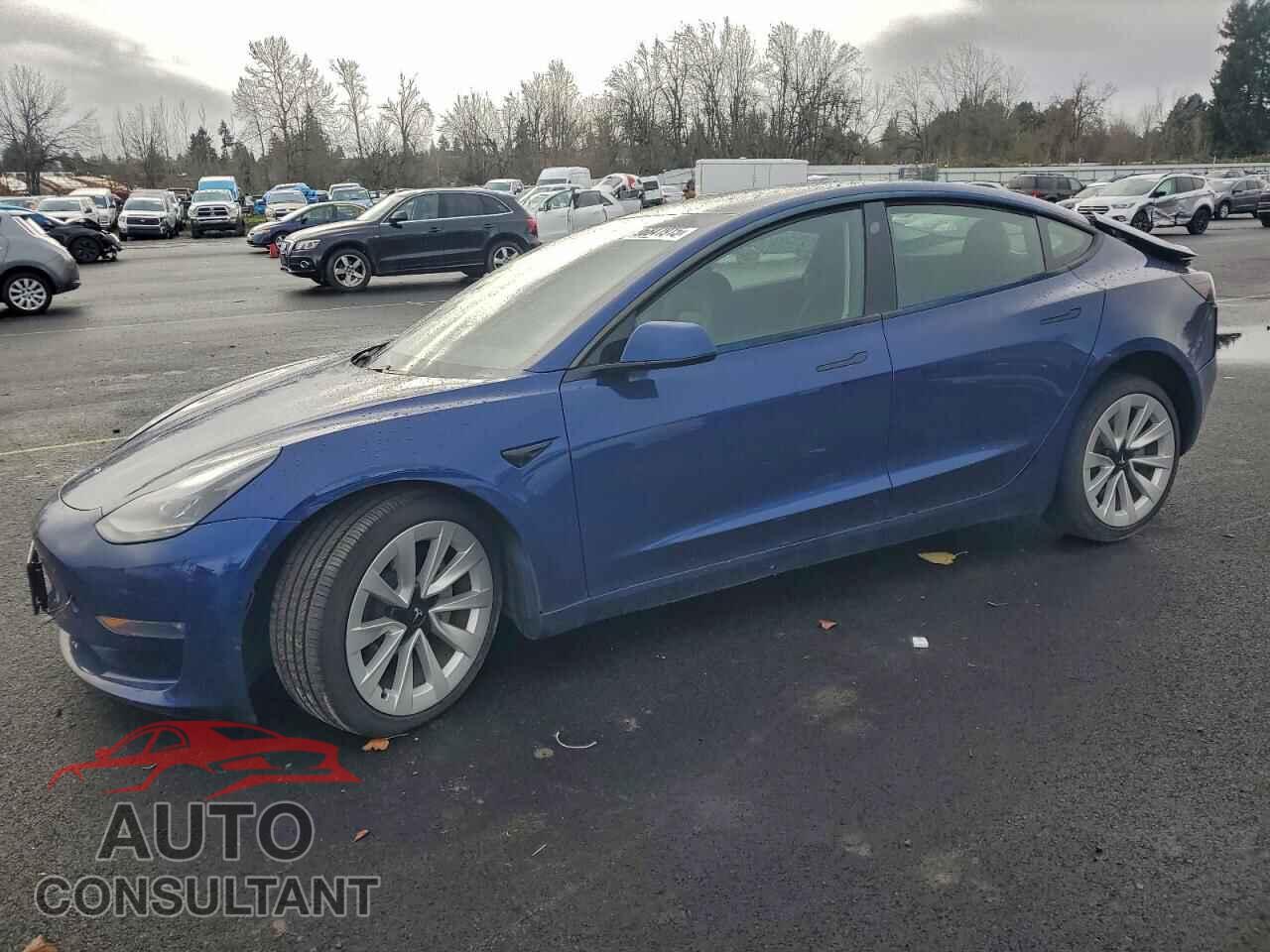 TESLA MODEL 3 2021 - 5YJ3E1EB7MF875016