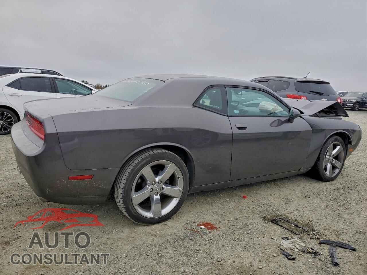 DODGE CHALLENGER 2014 - 2C3CDYAG4EH256208