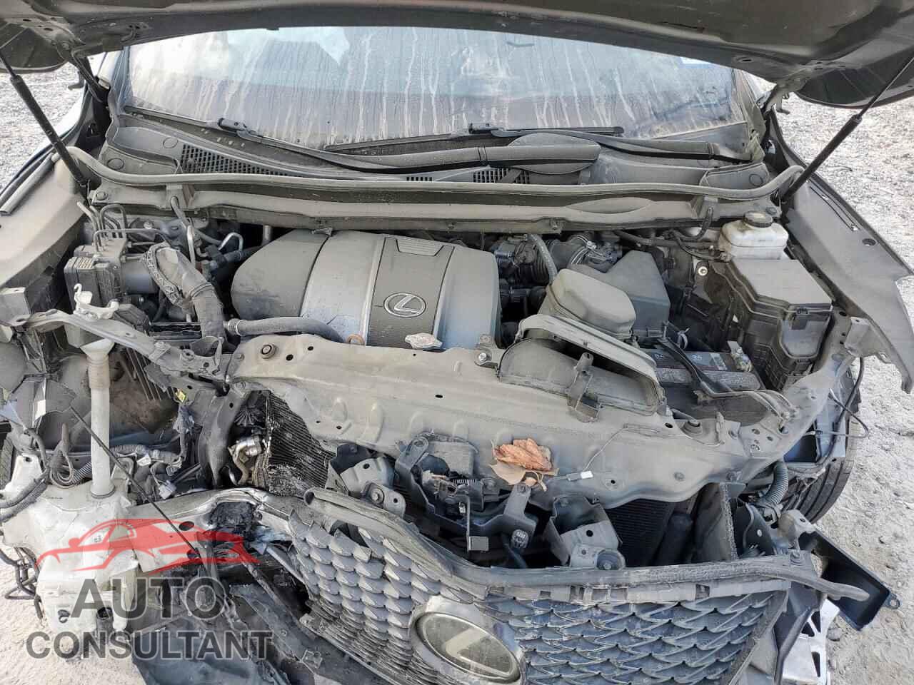 LEXUS RX350 2019 - 2T2BZMCA7KC194380