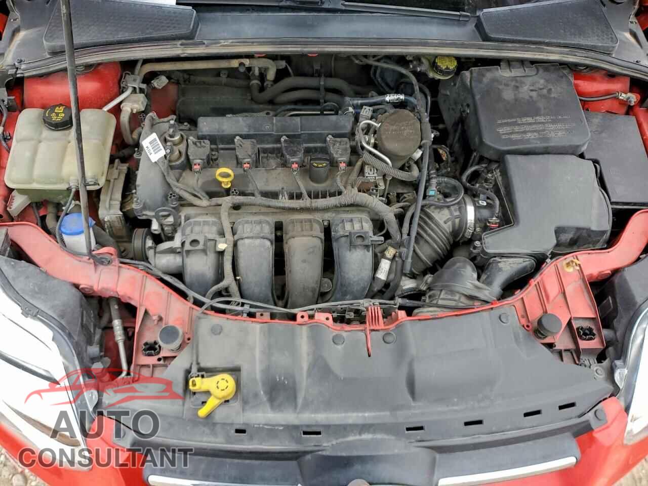 FORD FOCUS 2014 - 1FADP3F20EL412812