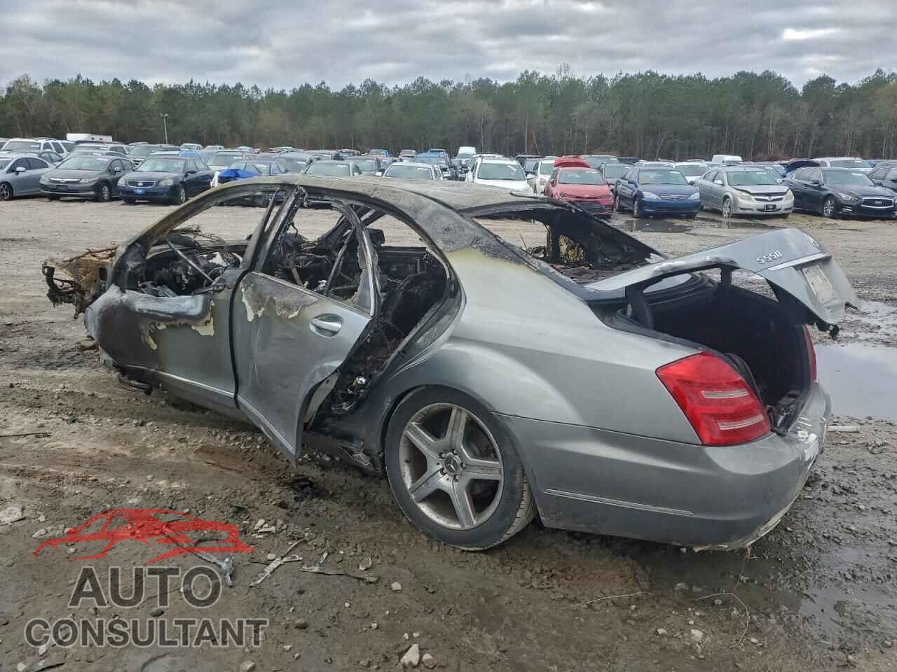 MERCEDES-BENZ S-CLASS 2010 - WDDNG7BB7AA329501