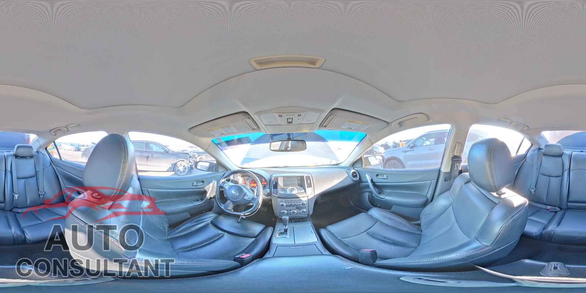 NISSAN MAXIMA 2009 - 1N4AA51E69C828211