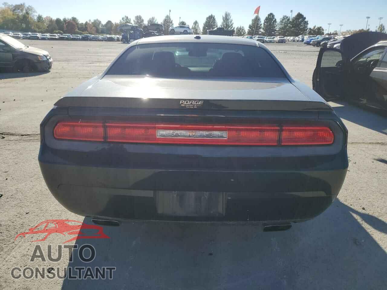 DODGE CHALLENGER 2013 - 2C3CDYBT5DH652366