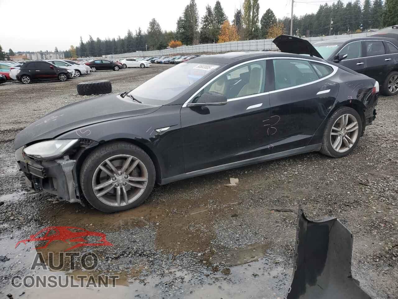 TESLA MODEL S 2013 - 5YJSA1DN7DFP12174