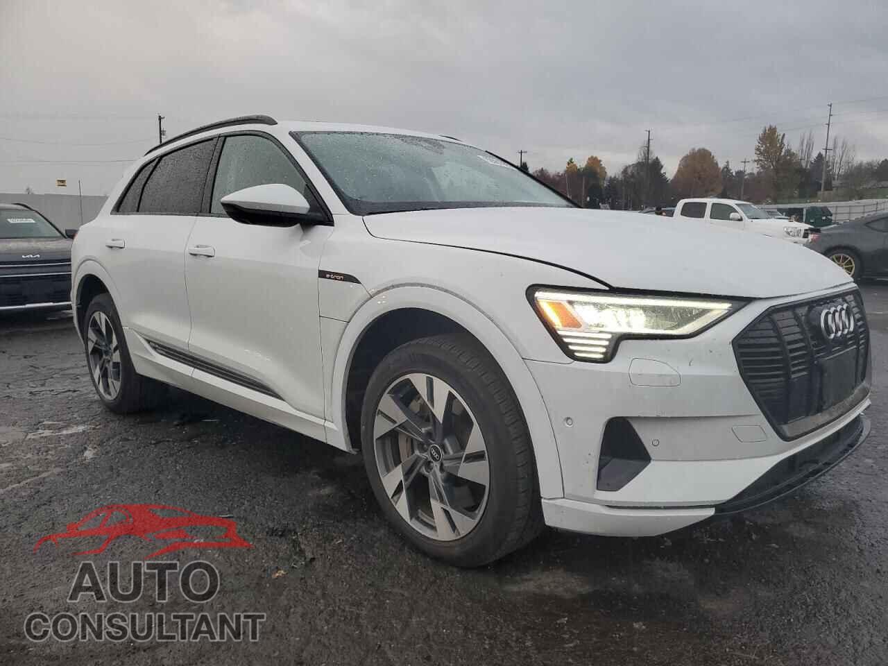 AUDI E-TRON 2021 - WA1AAAGE8MB010630
