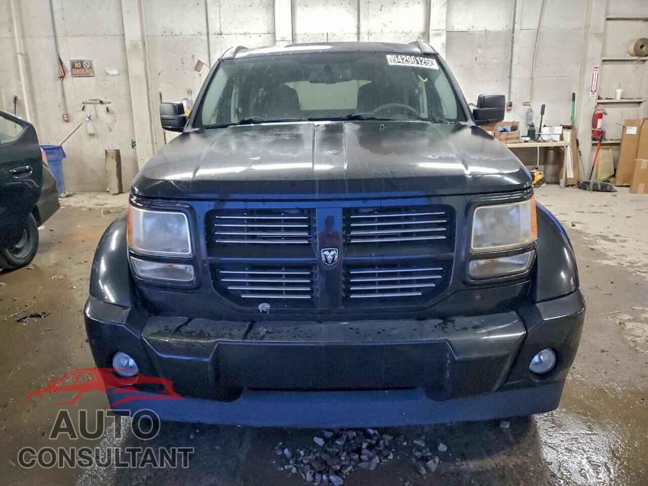 DODGE NITRO 2011 - 1D4PT4GX2BW528559