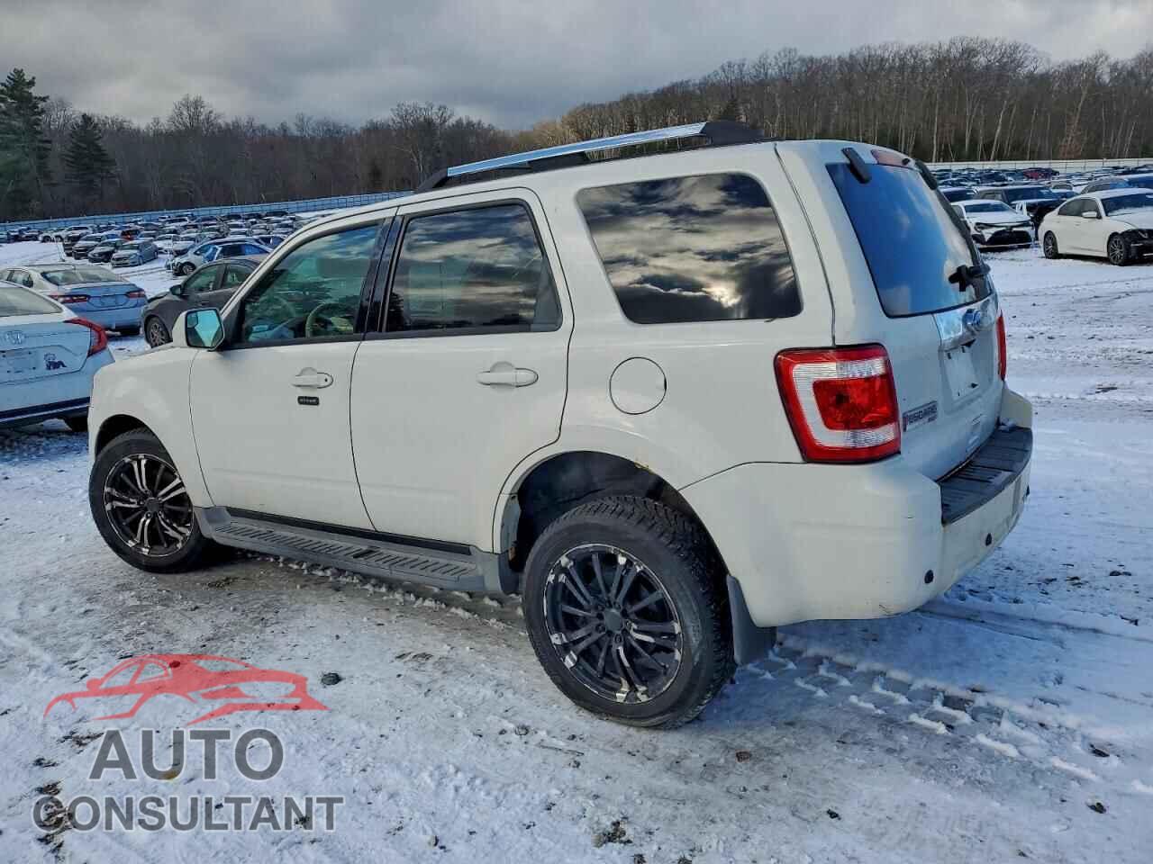 FORD ESCAPE 2010 - 1FMCU9EG0AKD04474