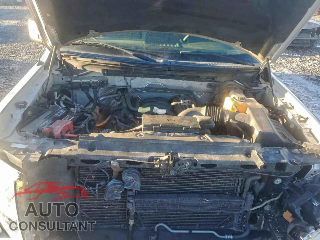 FORD F-150 2013 - 1FTFX1EF7DFD44386