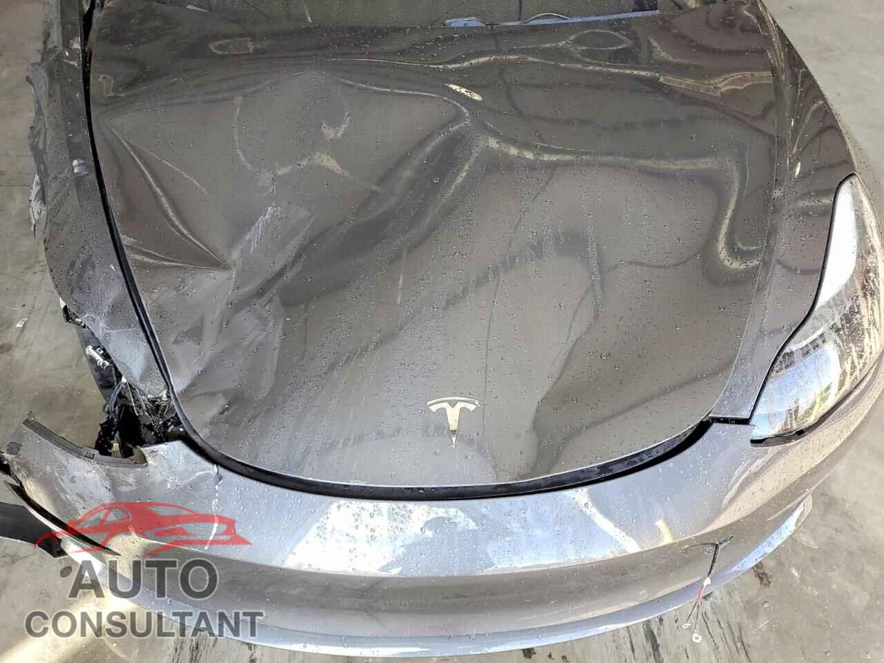 TESLA MODEL 3 2019 - 5YJ3E1EA4KF447313