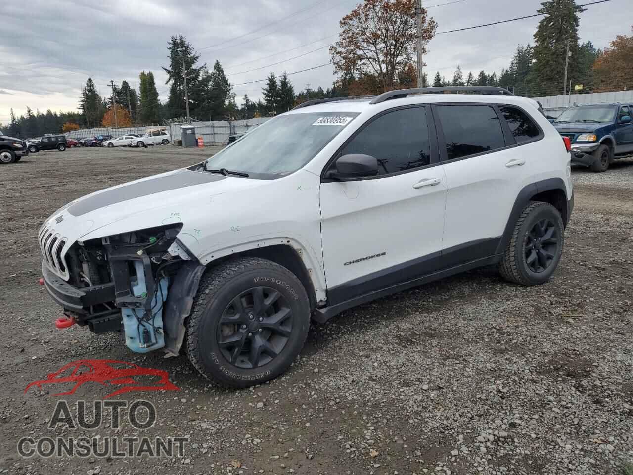 JEEP CHEROKEE 2017 - 1C4PJMBS8HW569768