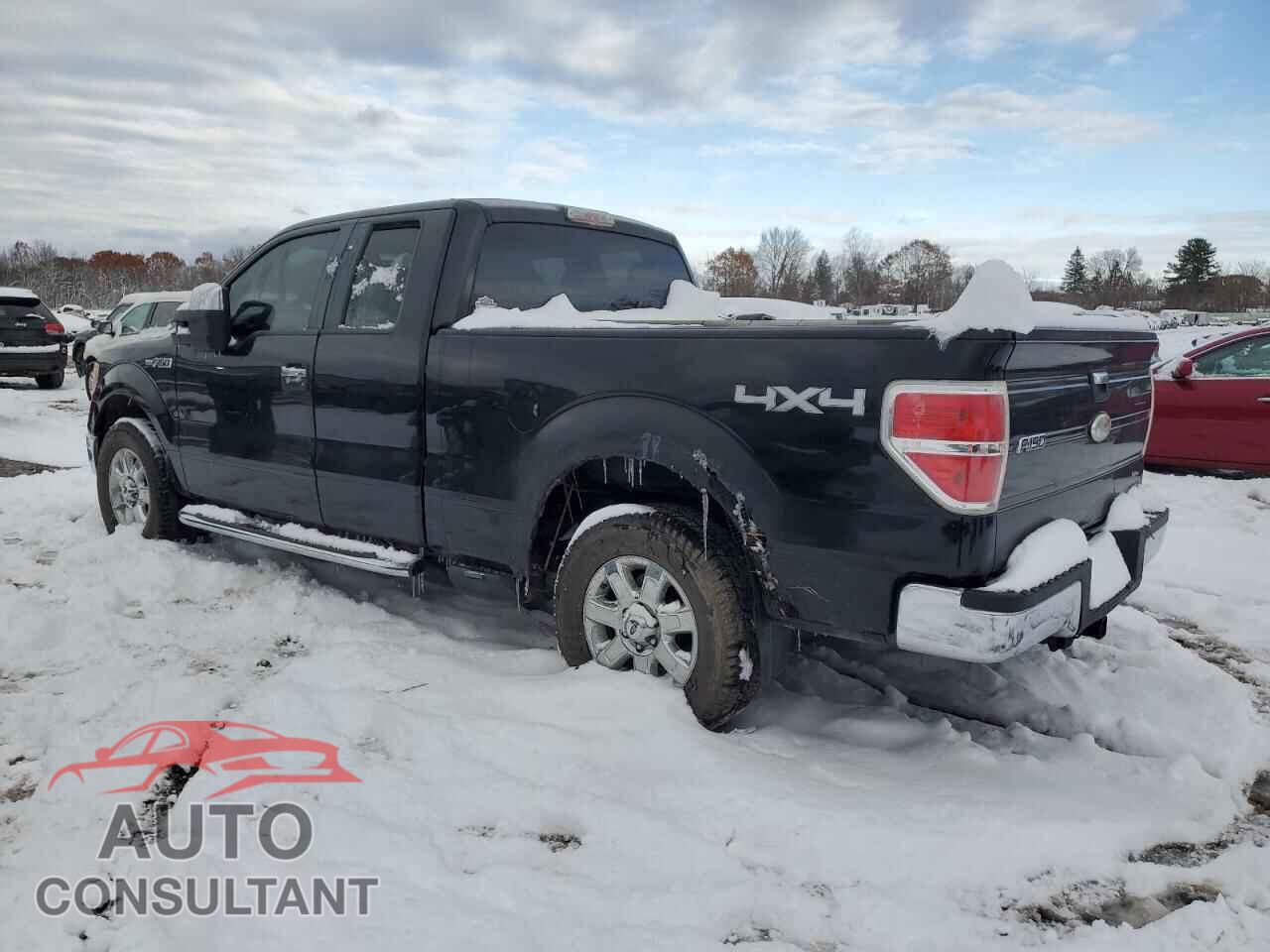 FORD F-150 2011 - 1FTFX1EF4BFA04920