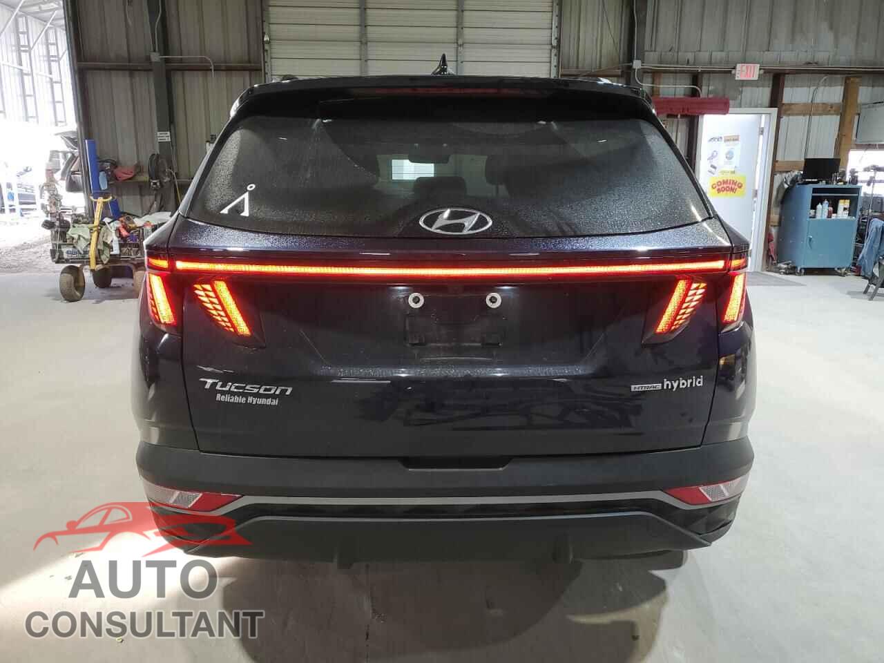 HYUNDAI TUCSON 2023 - KM8JFCA17PU123790