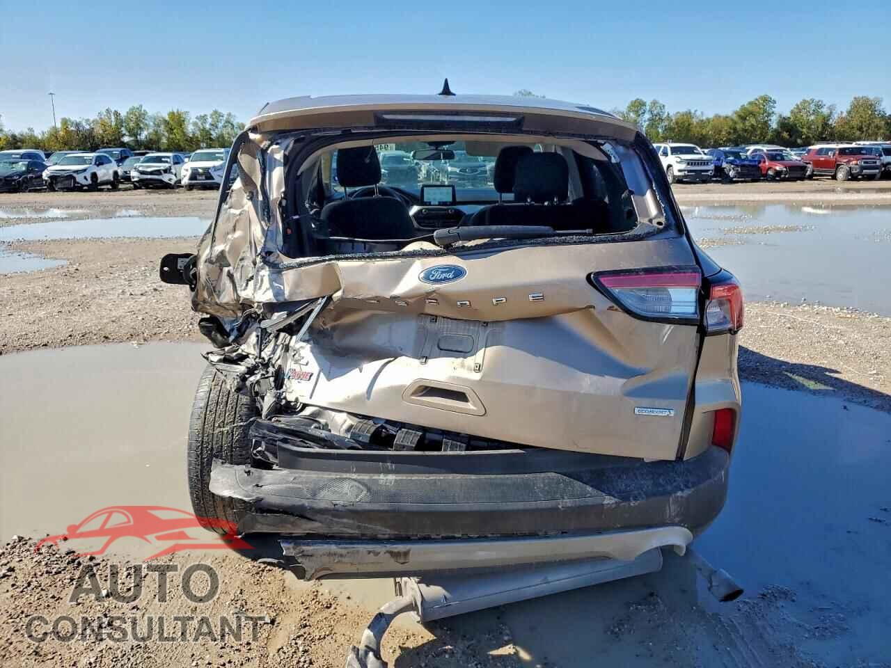 FORD ESCAPE 2020 - 1FMCU0G67LUA75489
